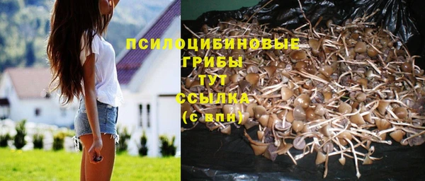 MDMA Premium VHQ Горнозаводск